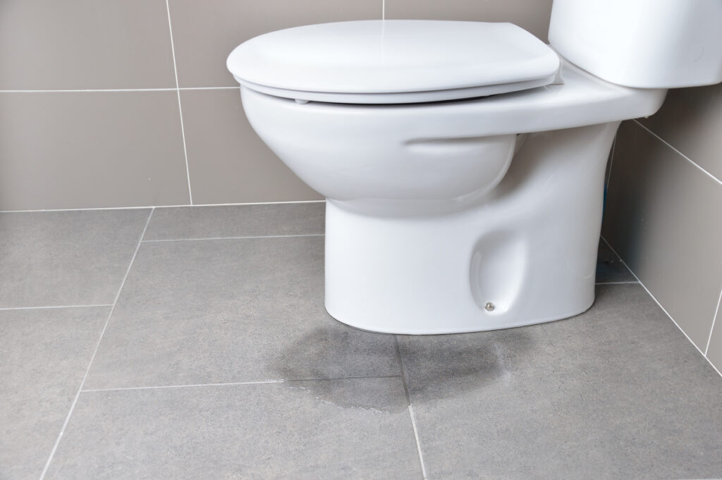 Why You Should Have Your New Toilets Professionally Installed 