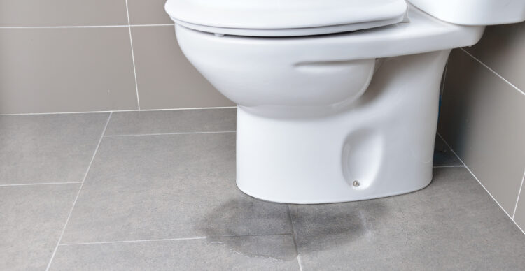 Why You Should Have Your New Toilets Professionally Installed