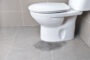 Why You Should Have Your New Toilets Professionally Installed