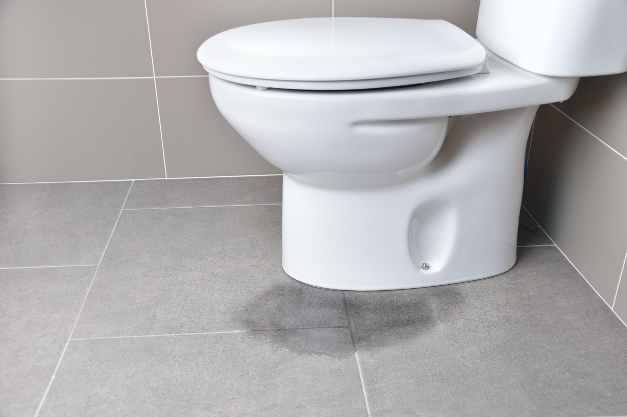 Why You Should Have Your New Toilets Professionally Installed - 410