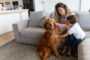 How Pet Owners Can Maintain their HVAC System