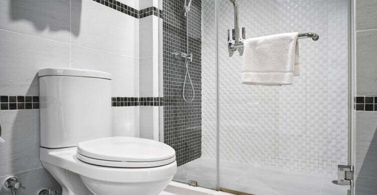 Causes of a Leaky Toilet: What to Do?